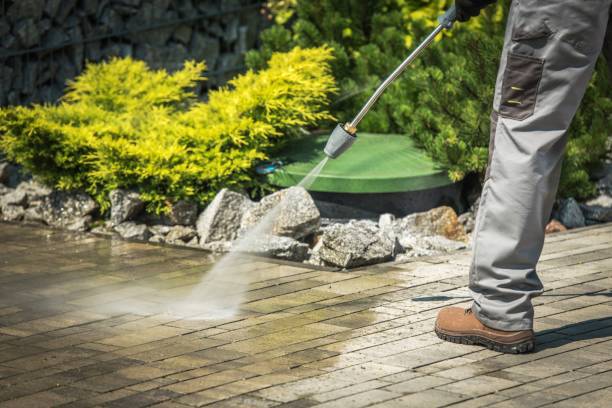 Best Spring Cleaning  in Chester, NY